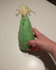 A plush ear of corn, its husk zipped all the way up