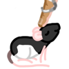 A black-hooded rat being touched by a light brown human finger with a silver ring splint