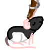 A black-hooded rat being touched by a dark brown human finger with a silver ring splint